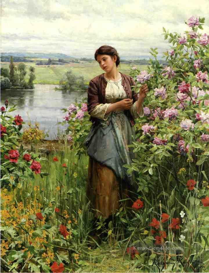 Julia unter der Rosen Landfrau Daniel Ridgway Knight Blumen Ölgemälde